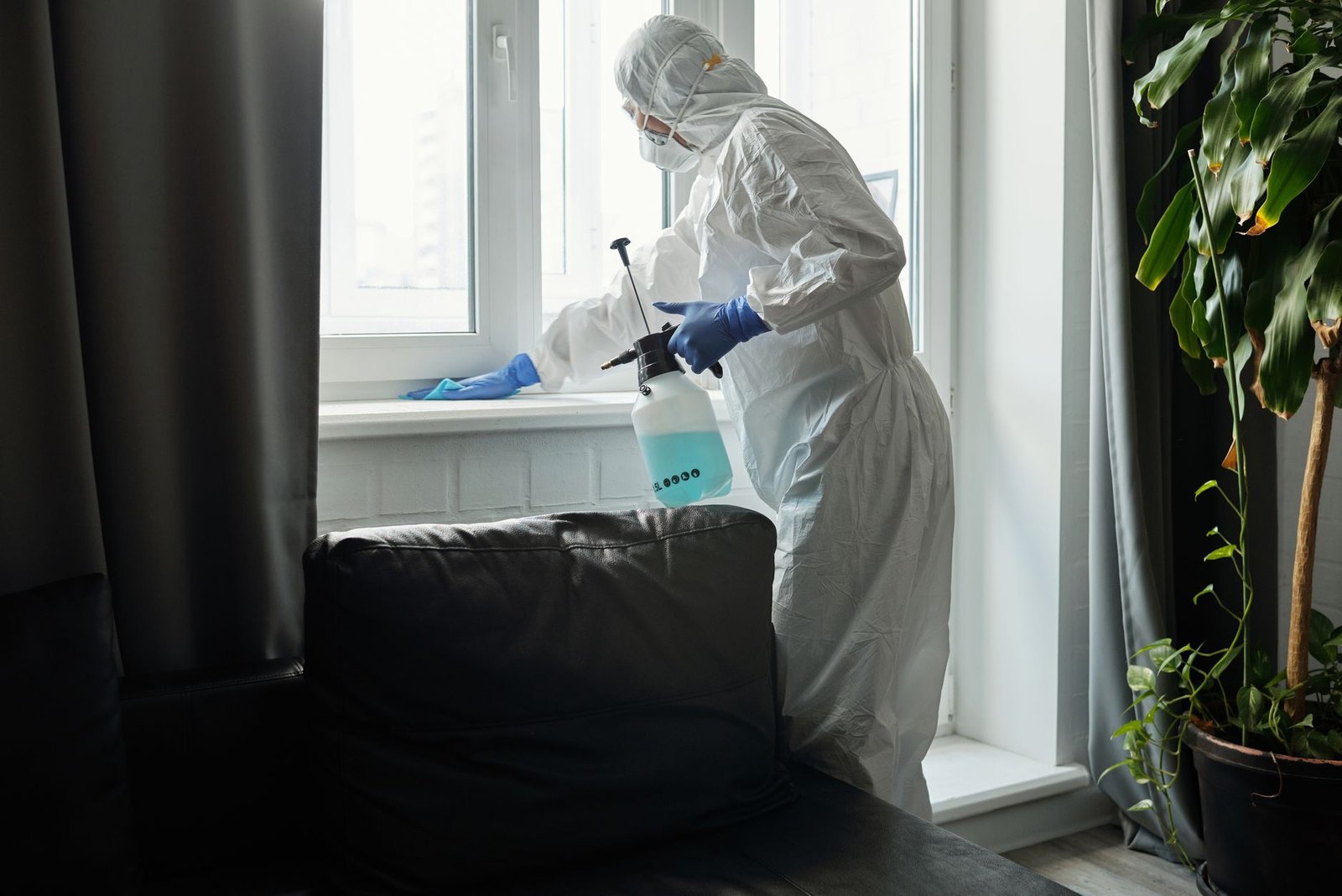 Zagrożenia biologiczne w domu – praktyczny poradnik ochrony dla rodzin
